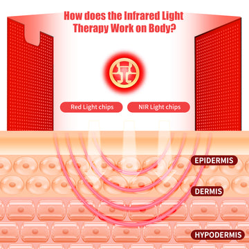 ecomposer-options-photon+bag,ecomposer-options-photon+mat